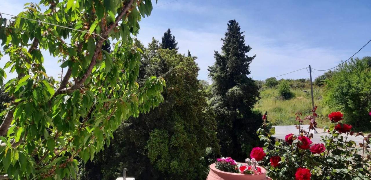 Green View Apartment Ágios Pétros المظهر الخارجي الصورة