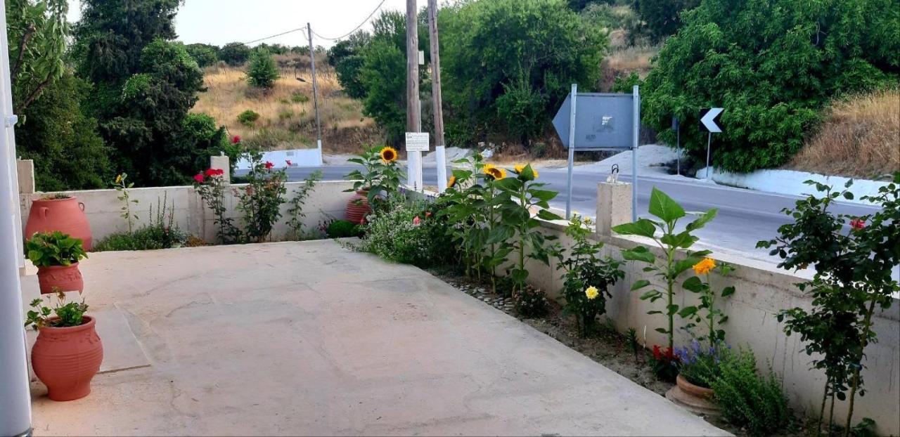 Green View Apartment Ágios Pétros المظهر الخارجي الصورة